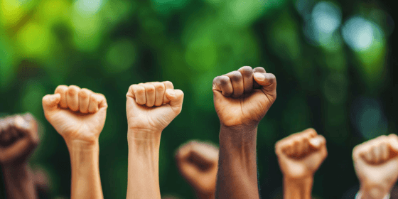 Human Rights