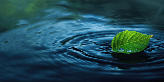 Nature & Water
